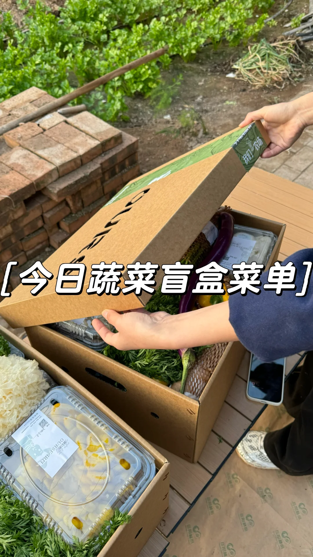 点击查看颜值超高的蔬菜盲盒 本周菜单！爱了