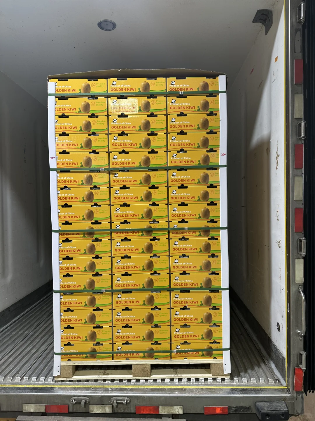 猕猴桃出口加工厂，水果出口