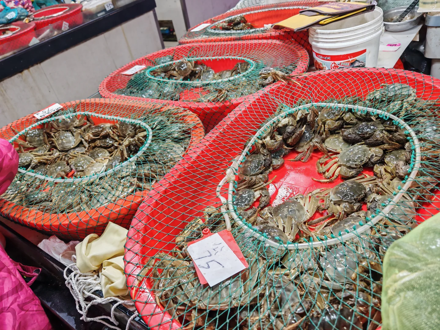 苏州山塘街菜市场吃新鲜现蒸大闸蟹