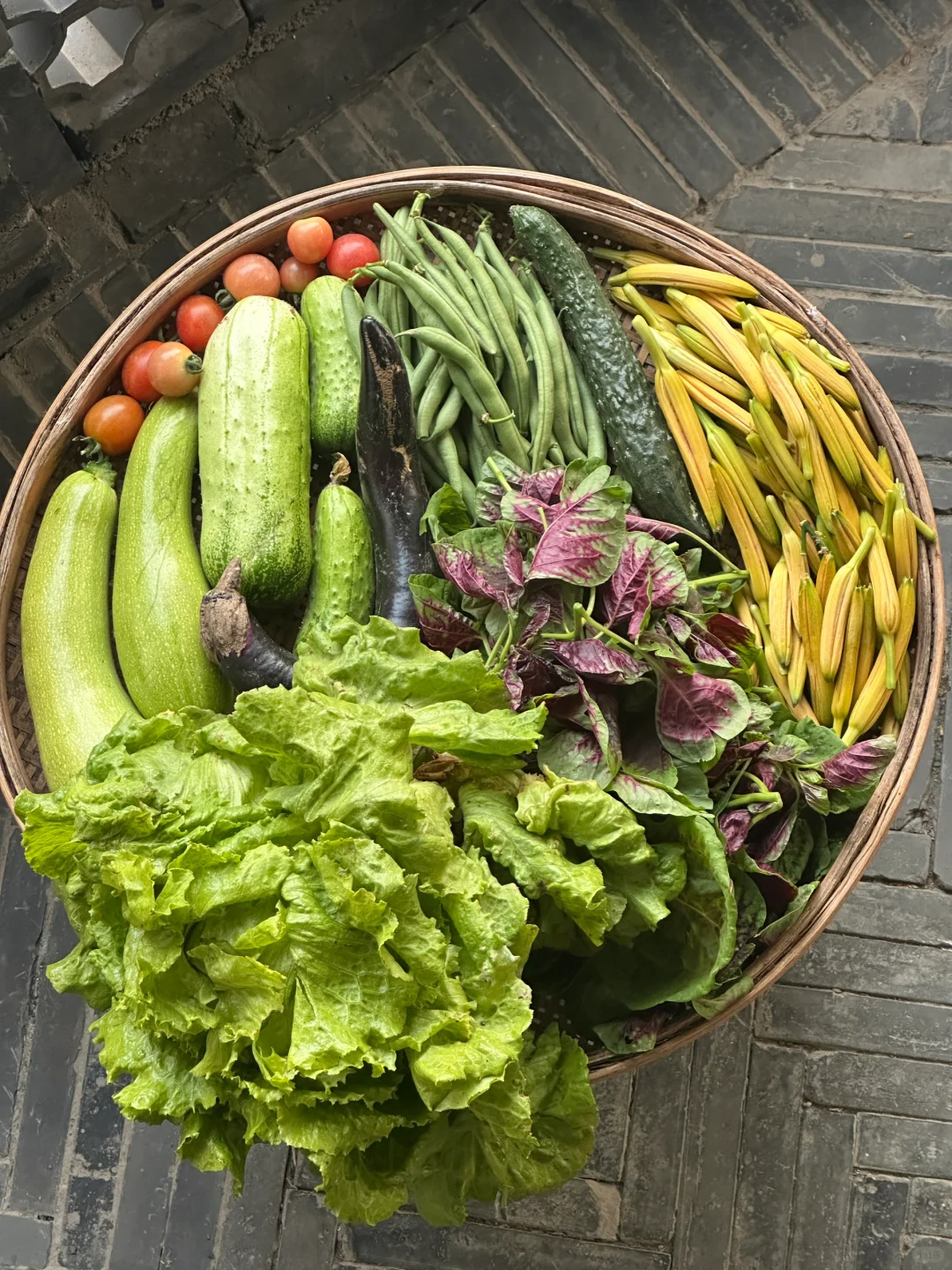 今日小菜园的丰收～你都认识吗