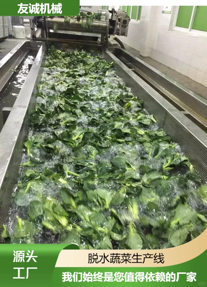 河南苹果切片机采购