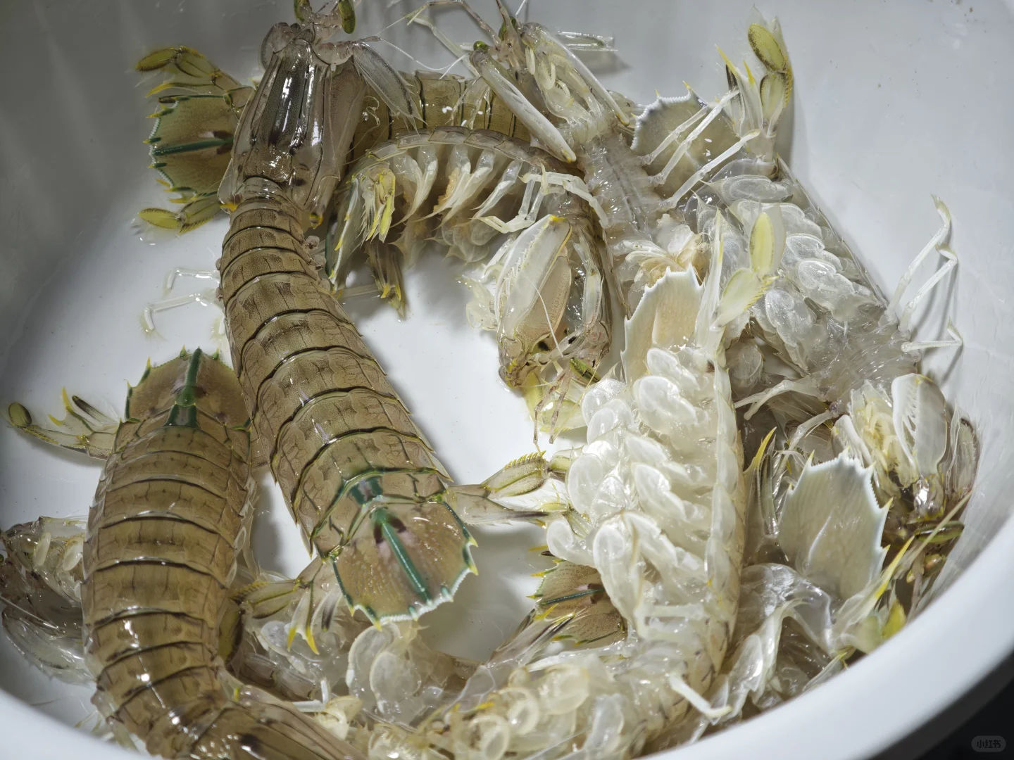 万宁兴隆华侨农贸市场推荐?