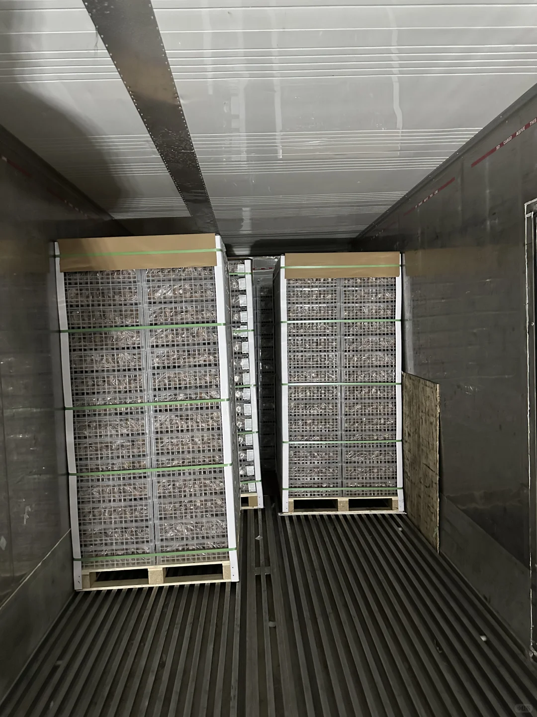 猕猴桃出口加工厂，水果出口