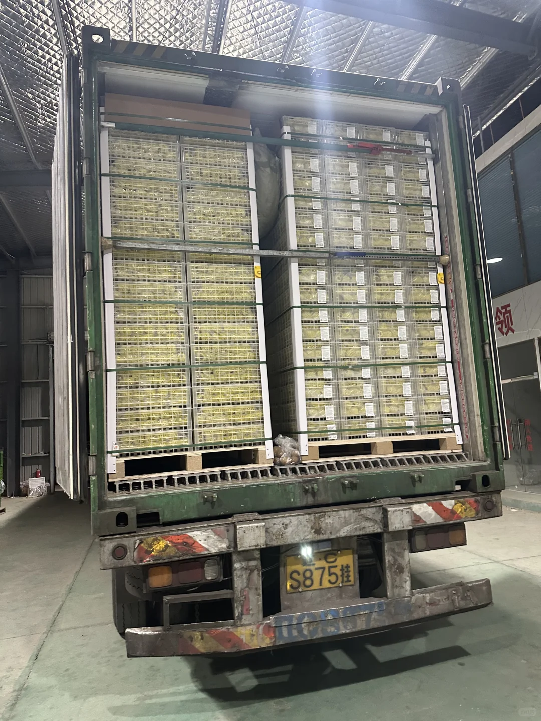 猕猴桃出口加工厂，水果出口