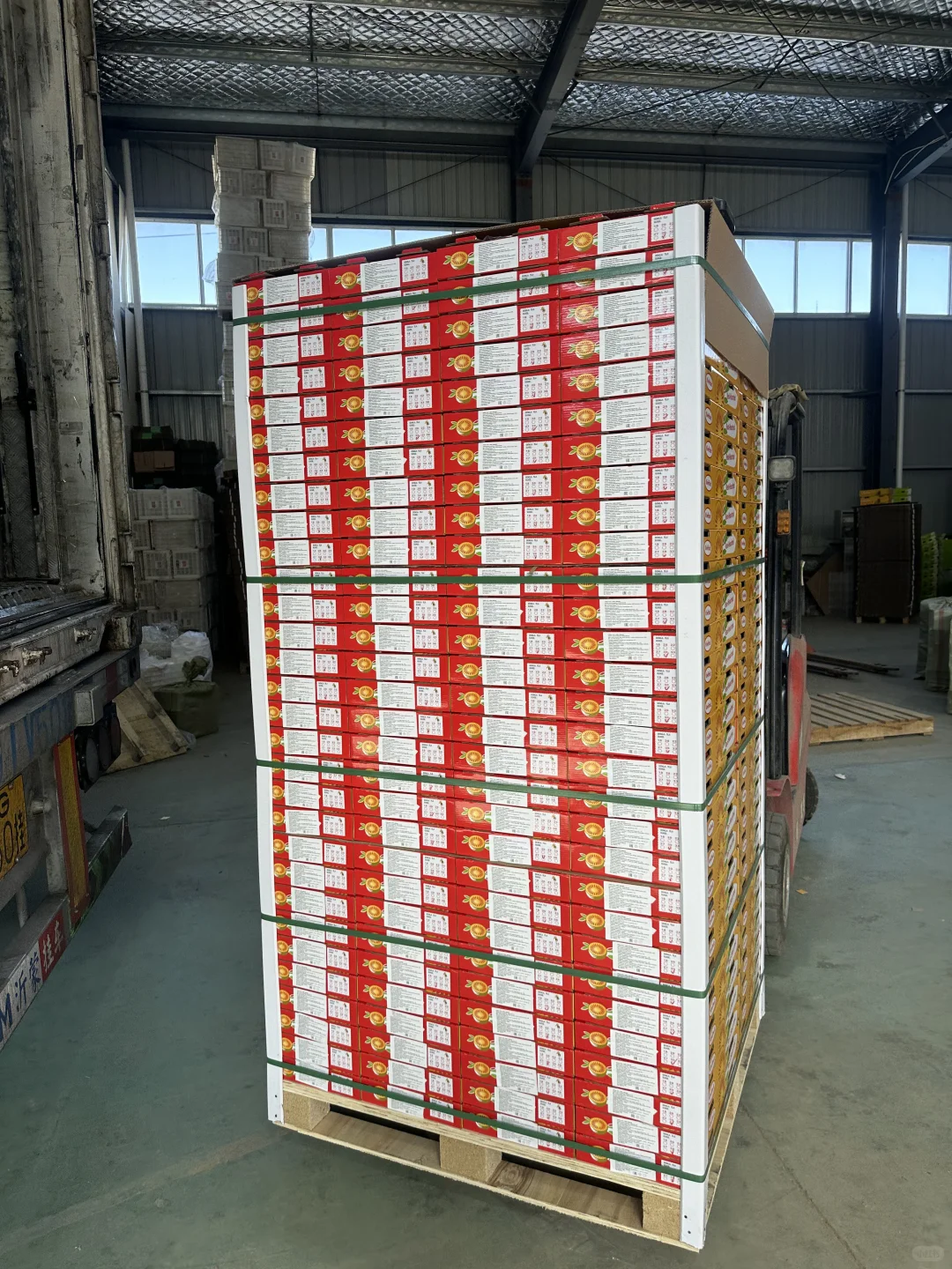 猕猴桃出口加工厂，水果出口