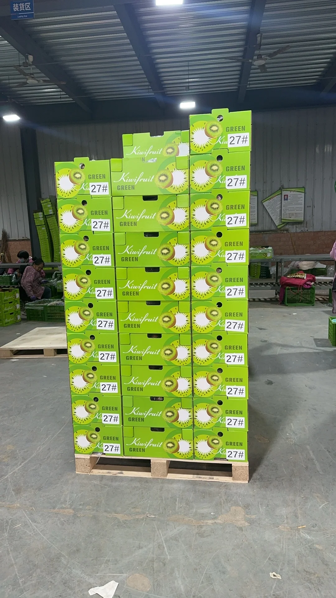 猕猴桃出口加工厂，水果出口