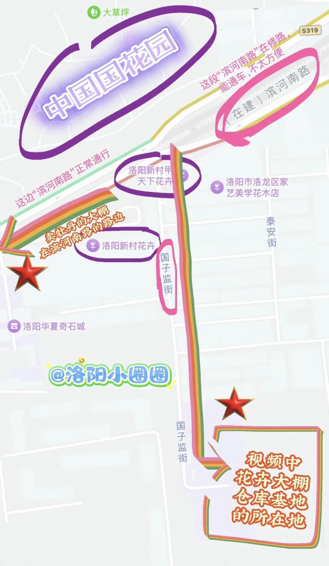 洛阳|你不知道的买花地儿!(2025 最新实探)