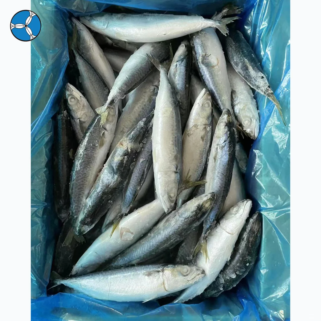 ?【鲭鱼风暴：全球市场背后的秘密】?