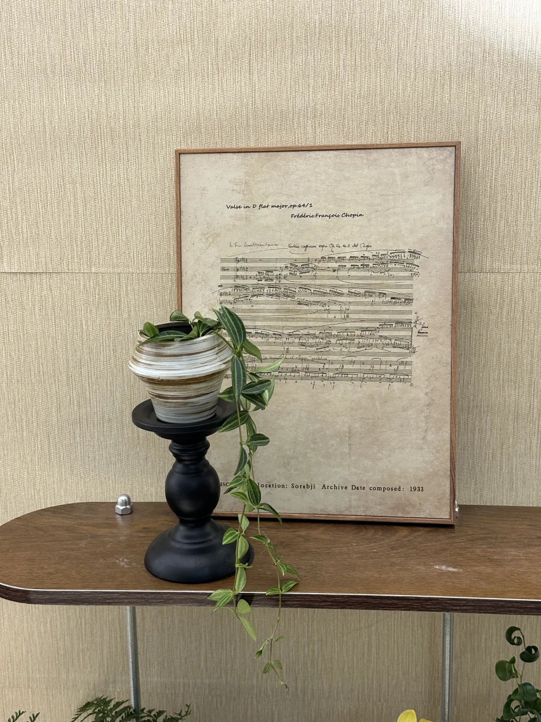 平价中古风绿植分享?