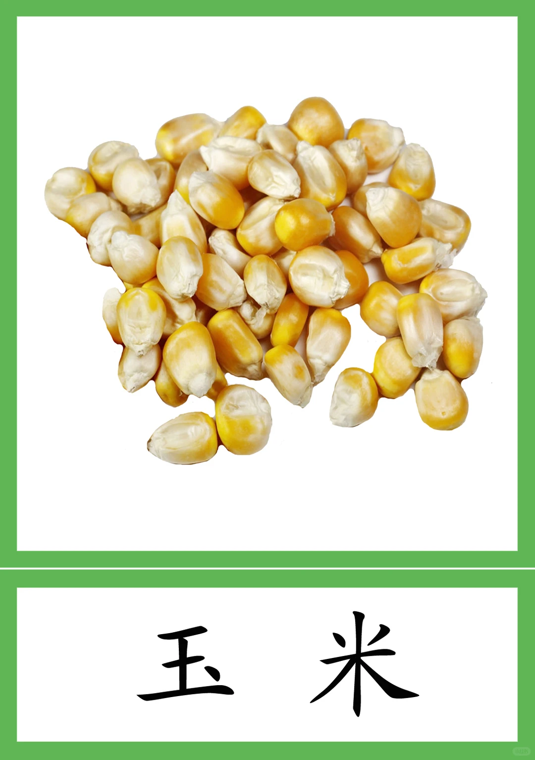 蒙氏植物素材28--粮食作物种类 三段卡