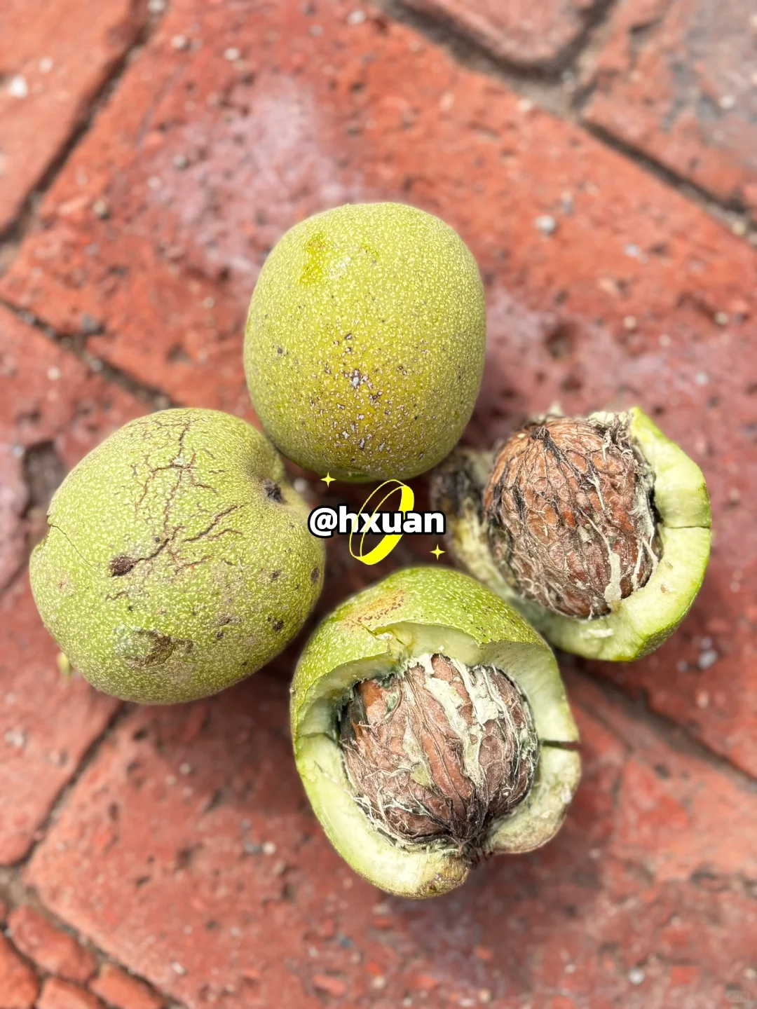 十一是丰收的季节-乡下欢乐多