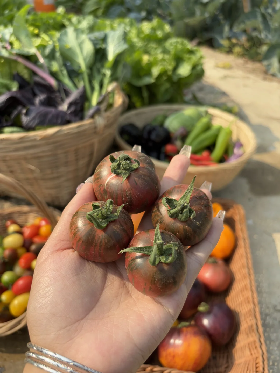 冬天也能收获的满满的蔬果