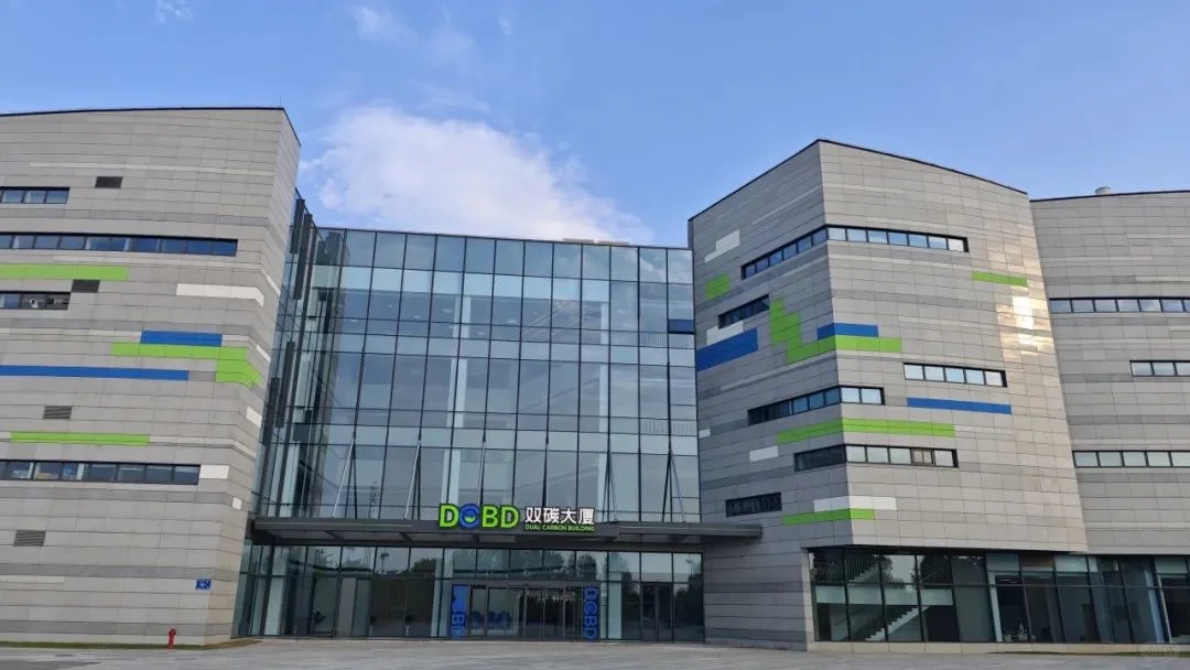 拥抱绿色未来，开启林业碳汇财富之门！