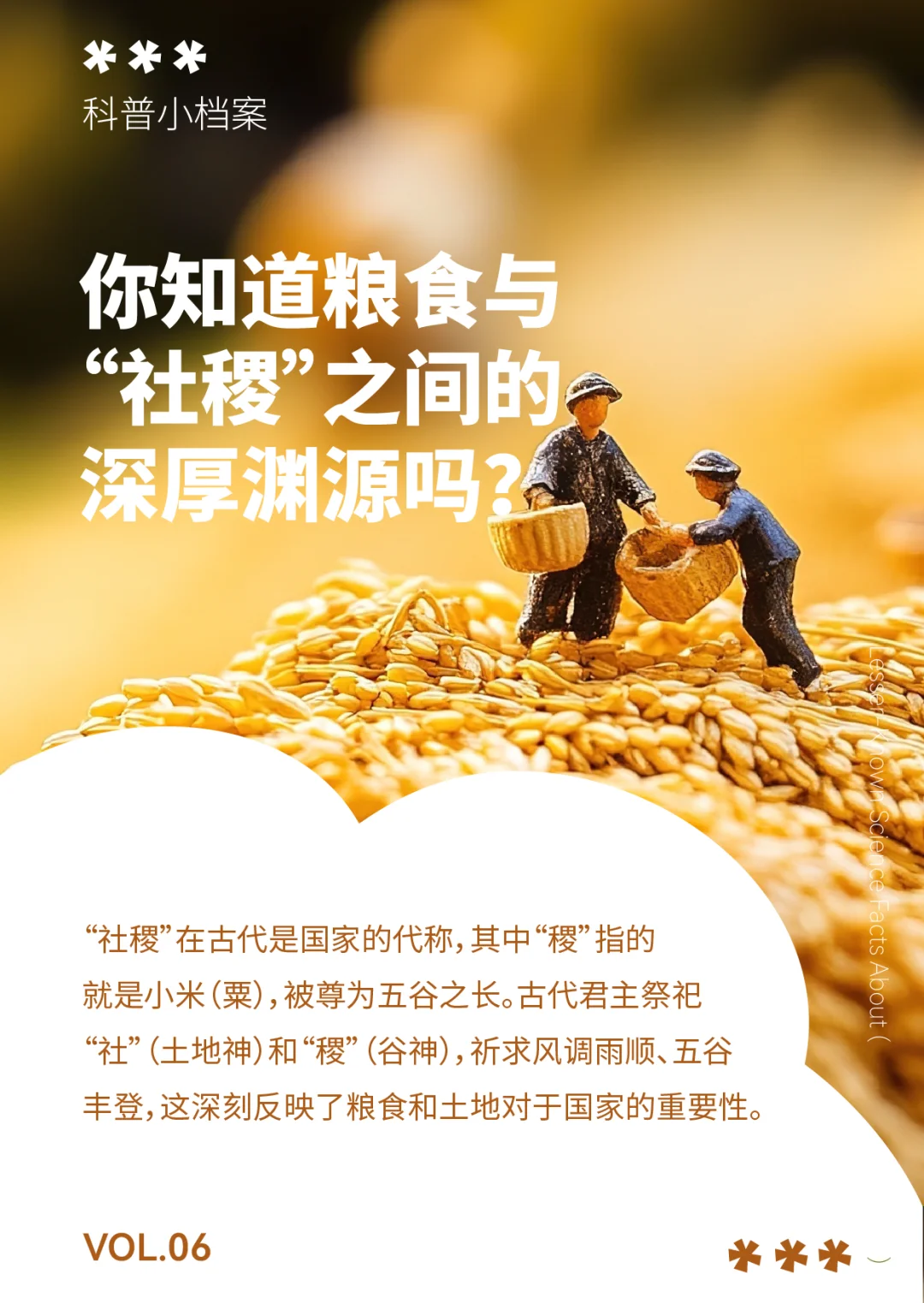 ?自然通识小百科VOL.6 | 粮食说明书