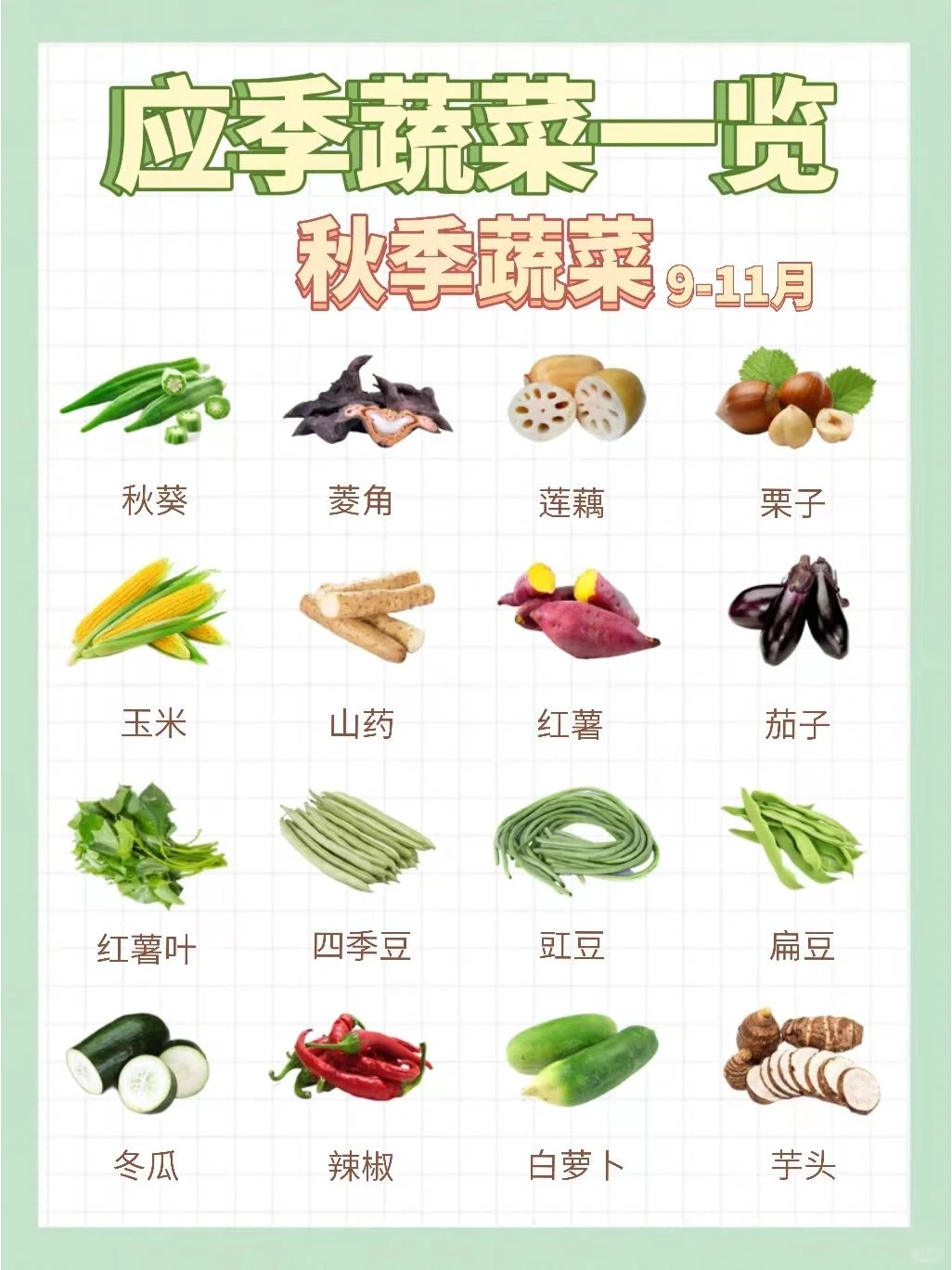 秋天，就应该吃一些属于秋天的水果蔬菜！