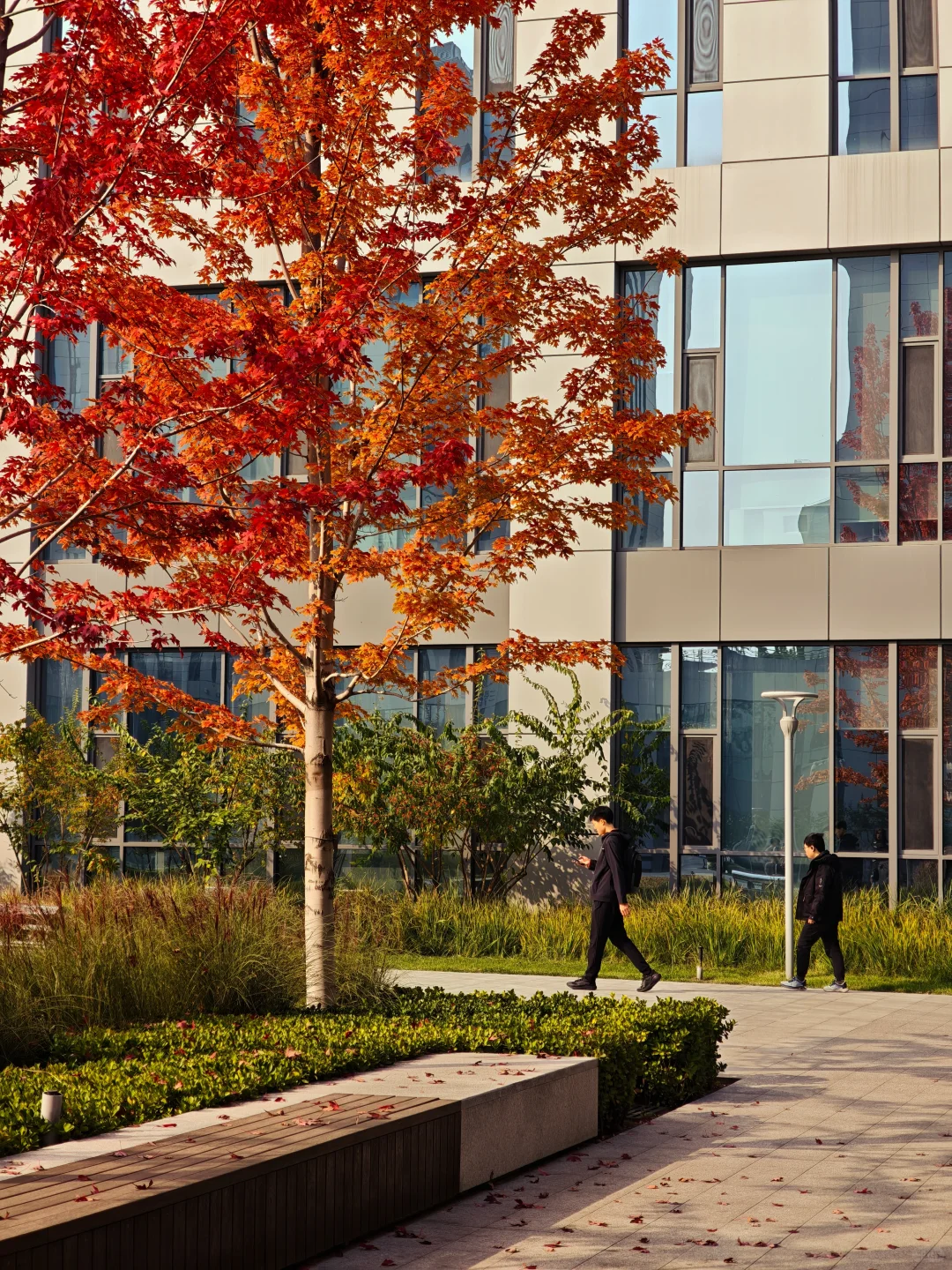 北航豪华图书馆！