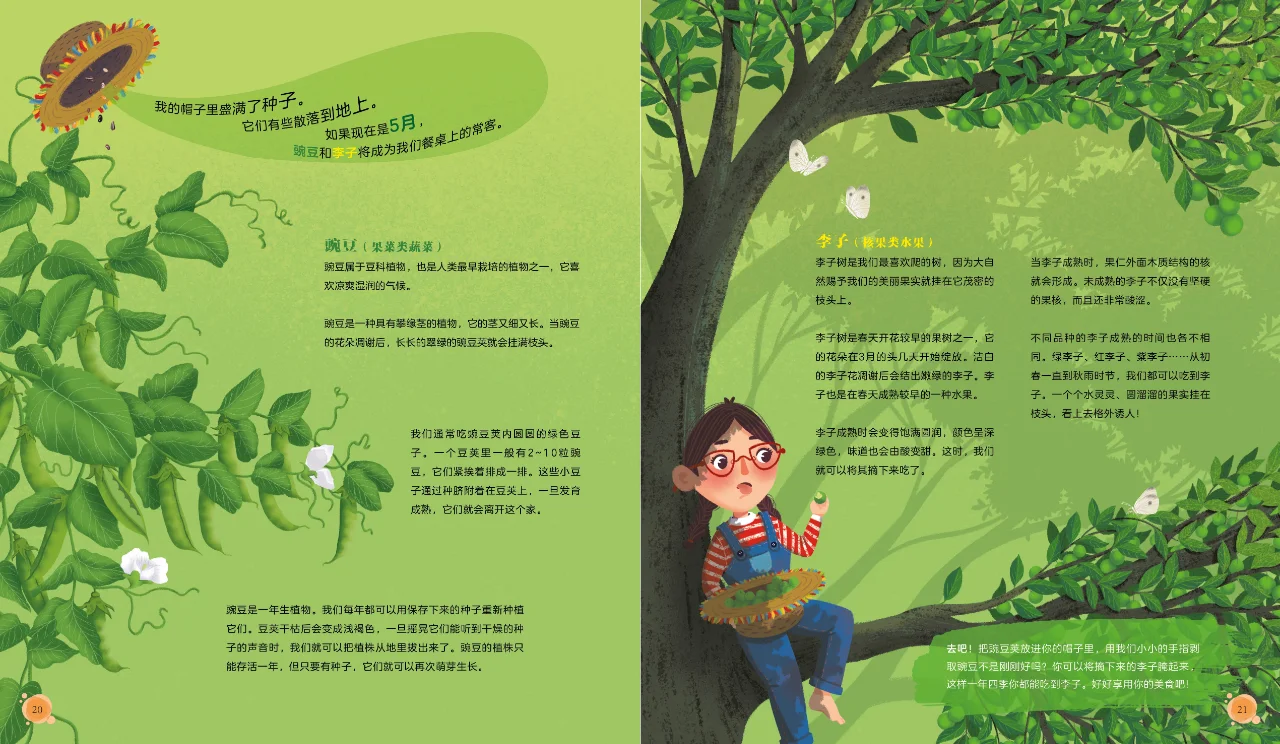 《会播种的帽子》蔬菜水果大集合