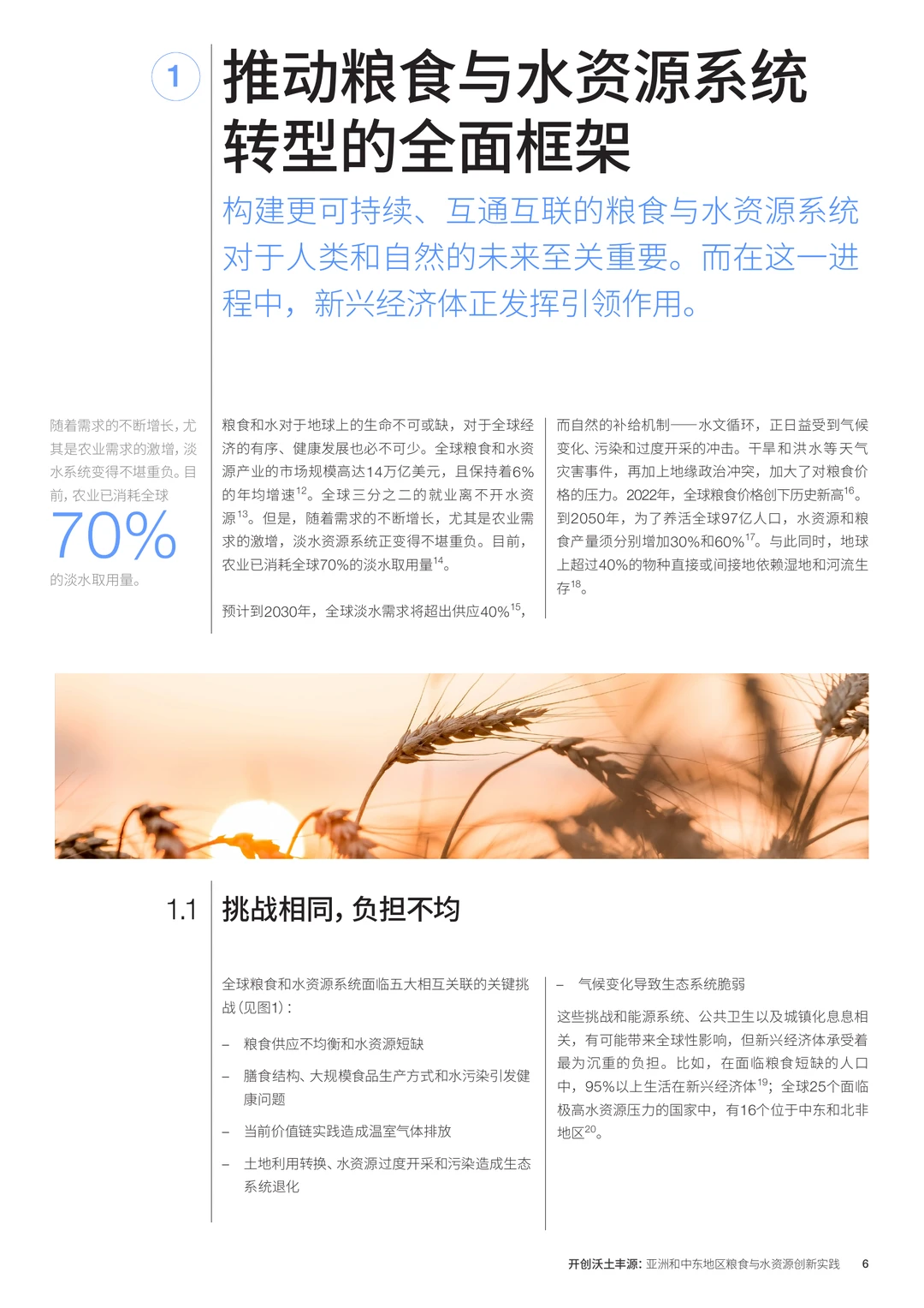 亚洲和中东地区粮食与水资源创新实践白皮书