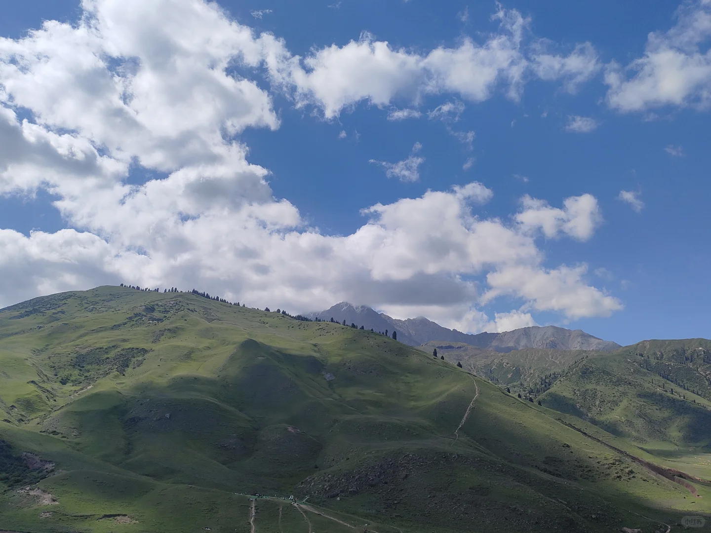 想看全国各地林学学生出外业的照片