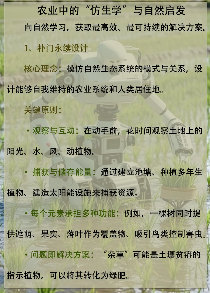 农业中的“仿生学”与自然启发