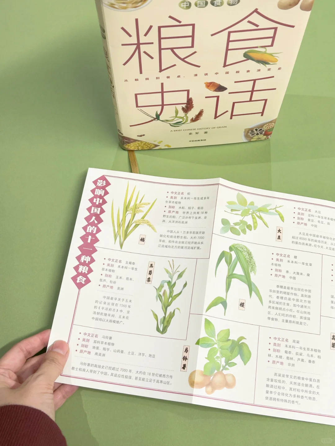 不吃主食就是没吃饭？中国人为什么爱主食？