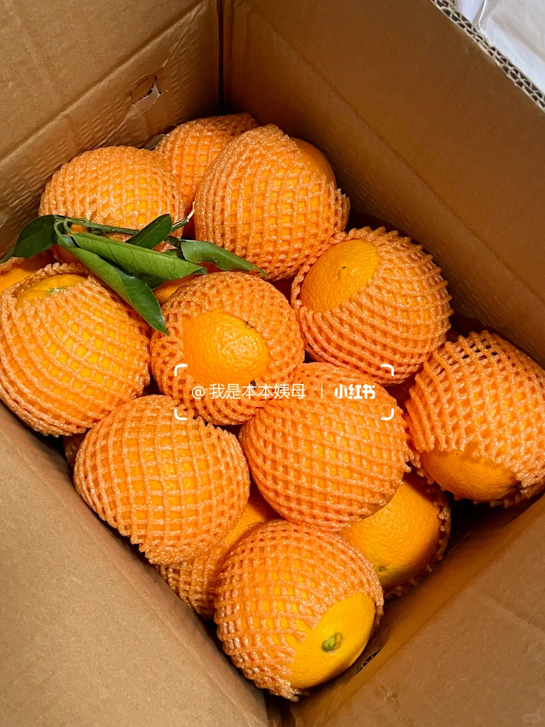 啊啊随便瞎买的橙子…巨巨巨好吃！爆甜没渣！！