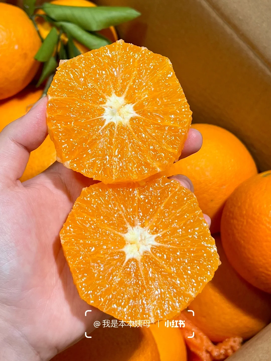 啊啊随便瞎买的橙子…巨巨巨好吃！爆甜没渣！！