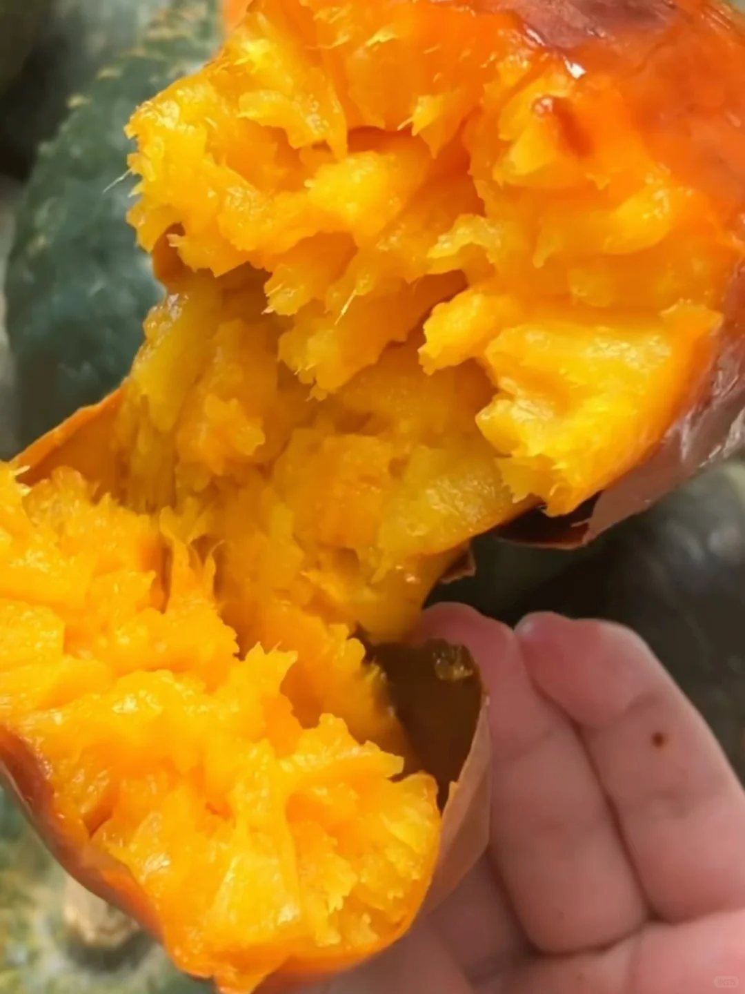 仓中红薯怕坏！三斤才9.9！爸妈催⏰