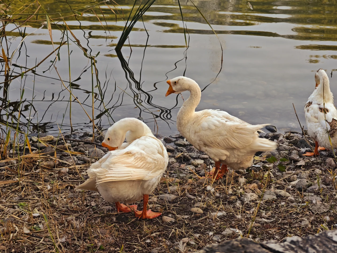 北航豪华图书馆！