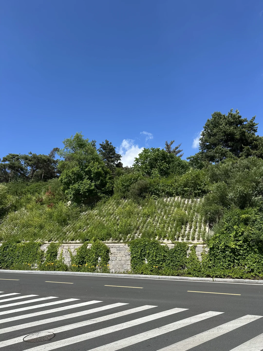 延大图书馆，你让我感到陌生