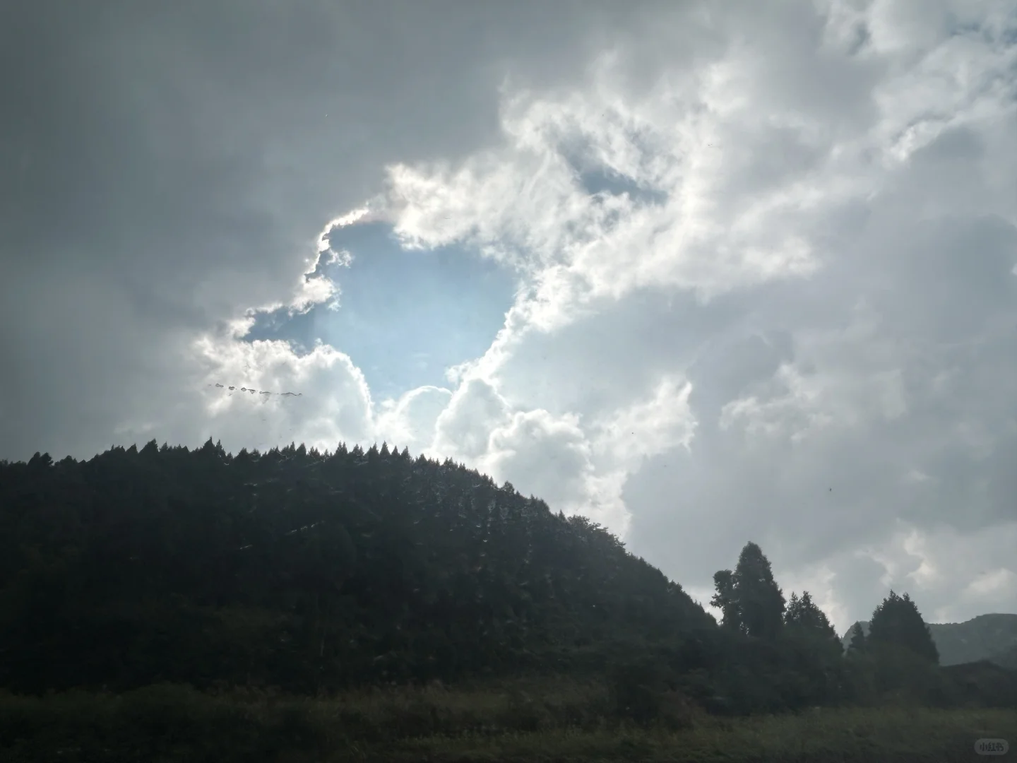 林业人出差日常