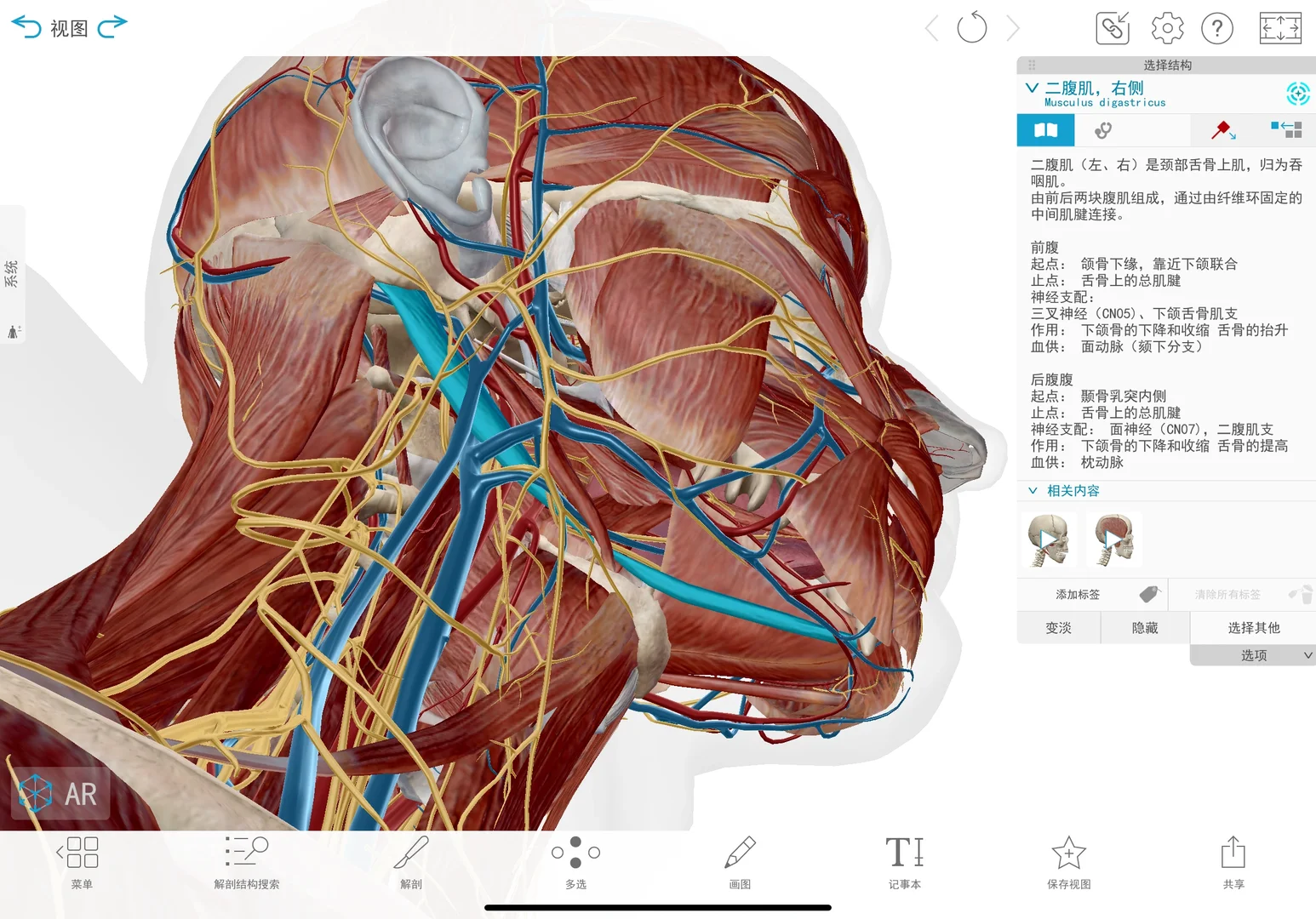 大一医学牲的周末?