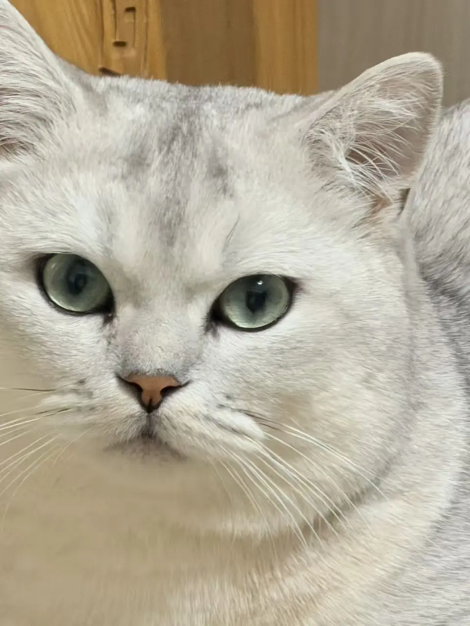 不想营业,但还是随便写写,你们随便看看