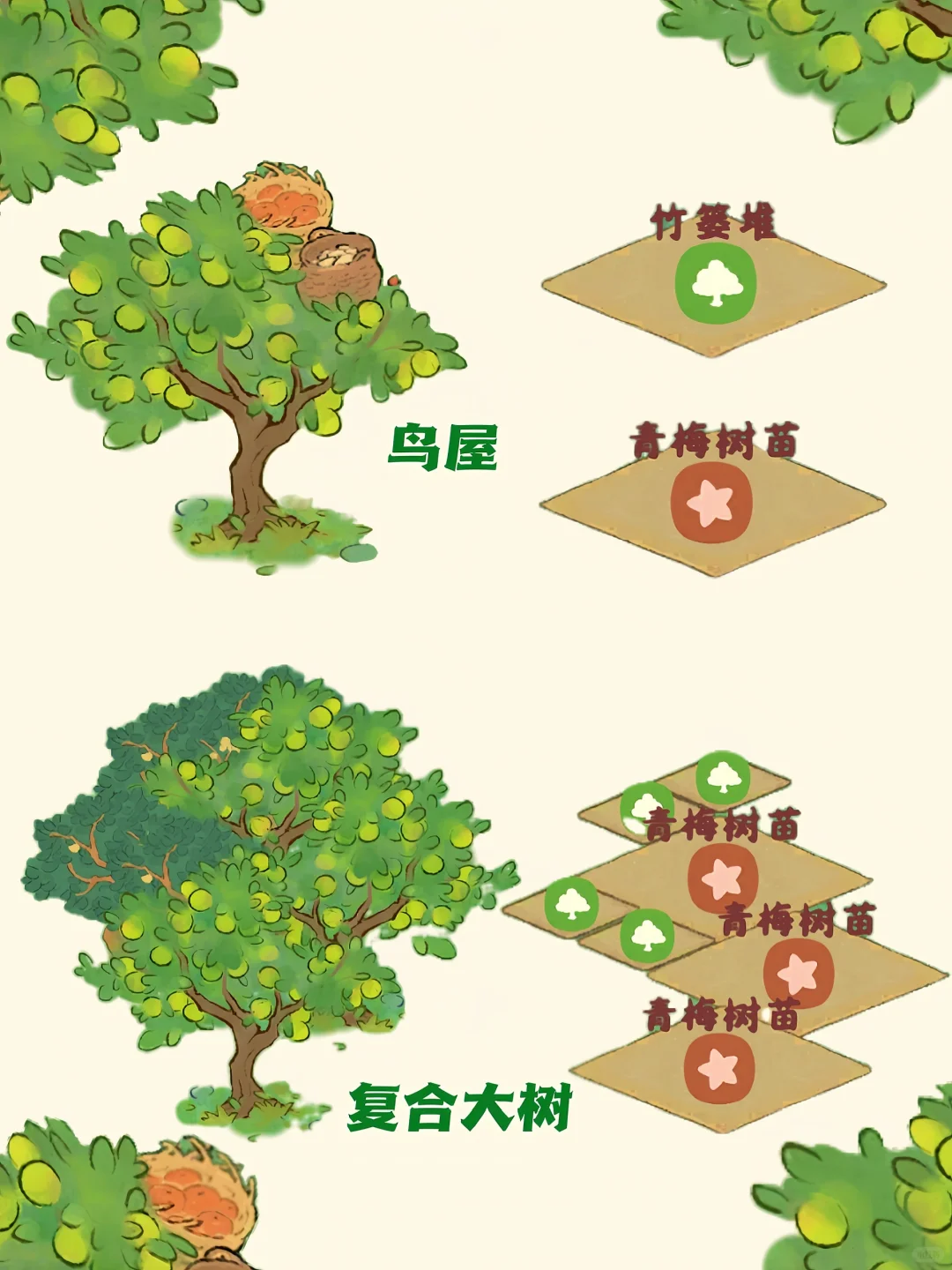 桃源‖????果树合集！