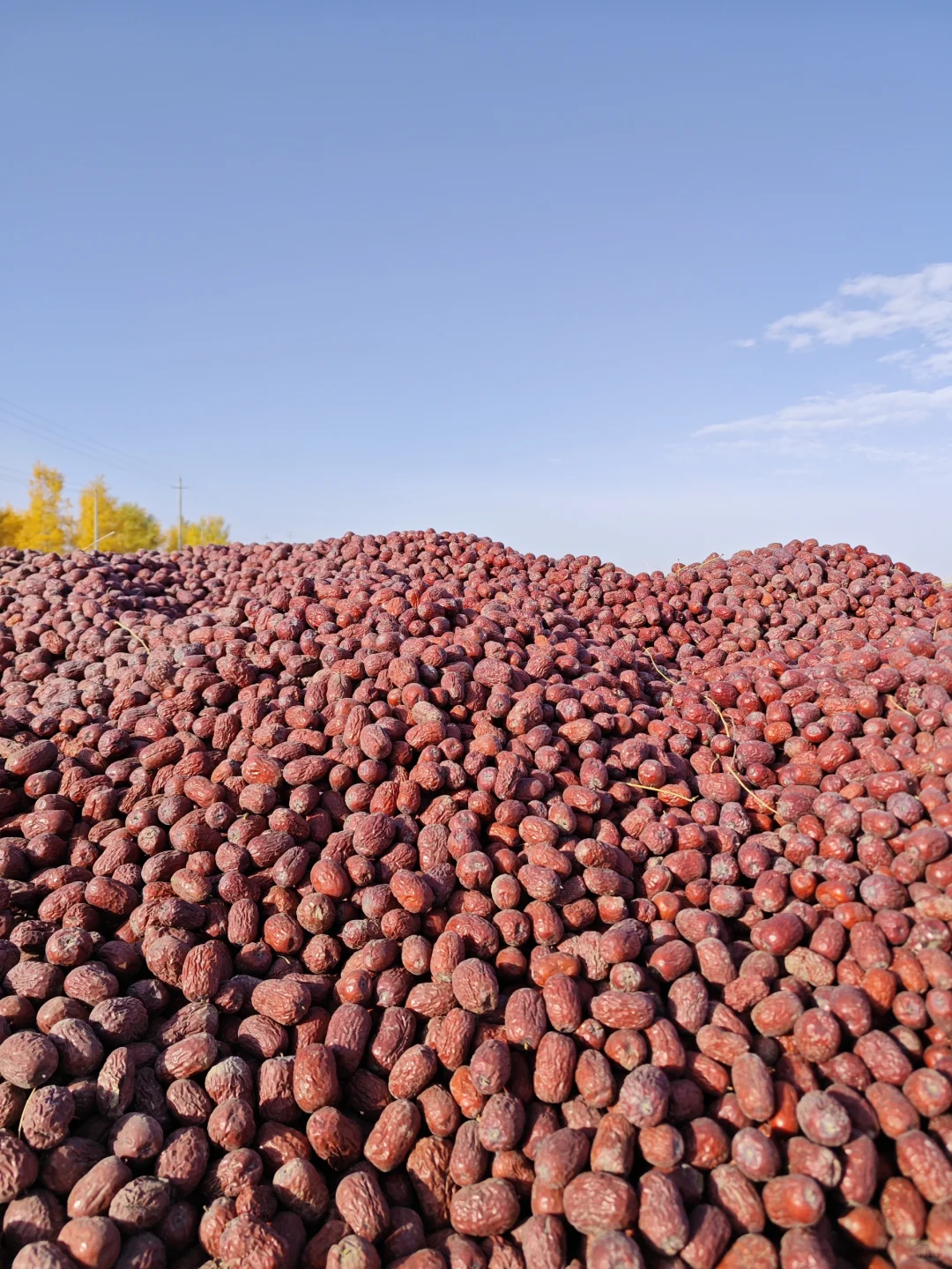 重生之我在新疆种地
