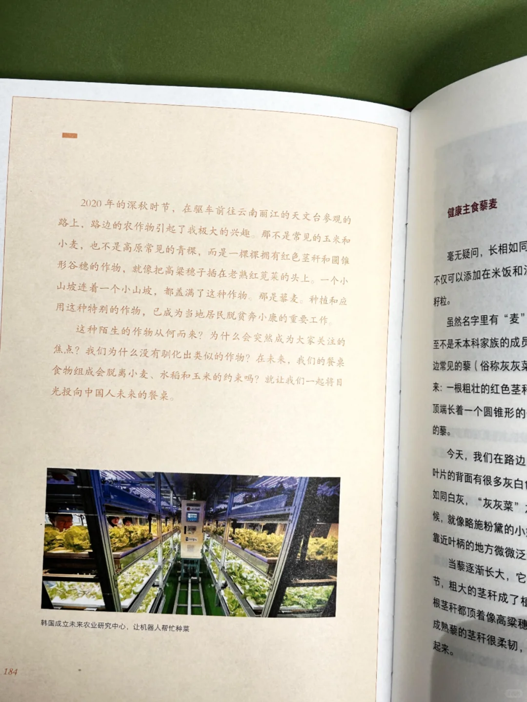 不吃主食就是没吃饭？中国人为什么爱主食？