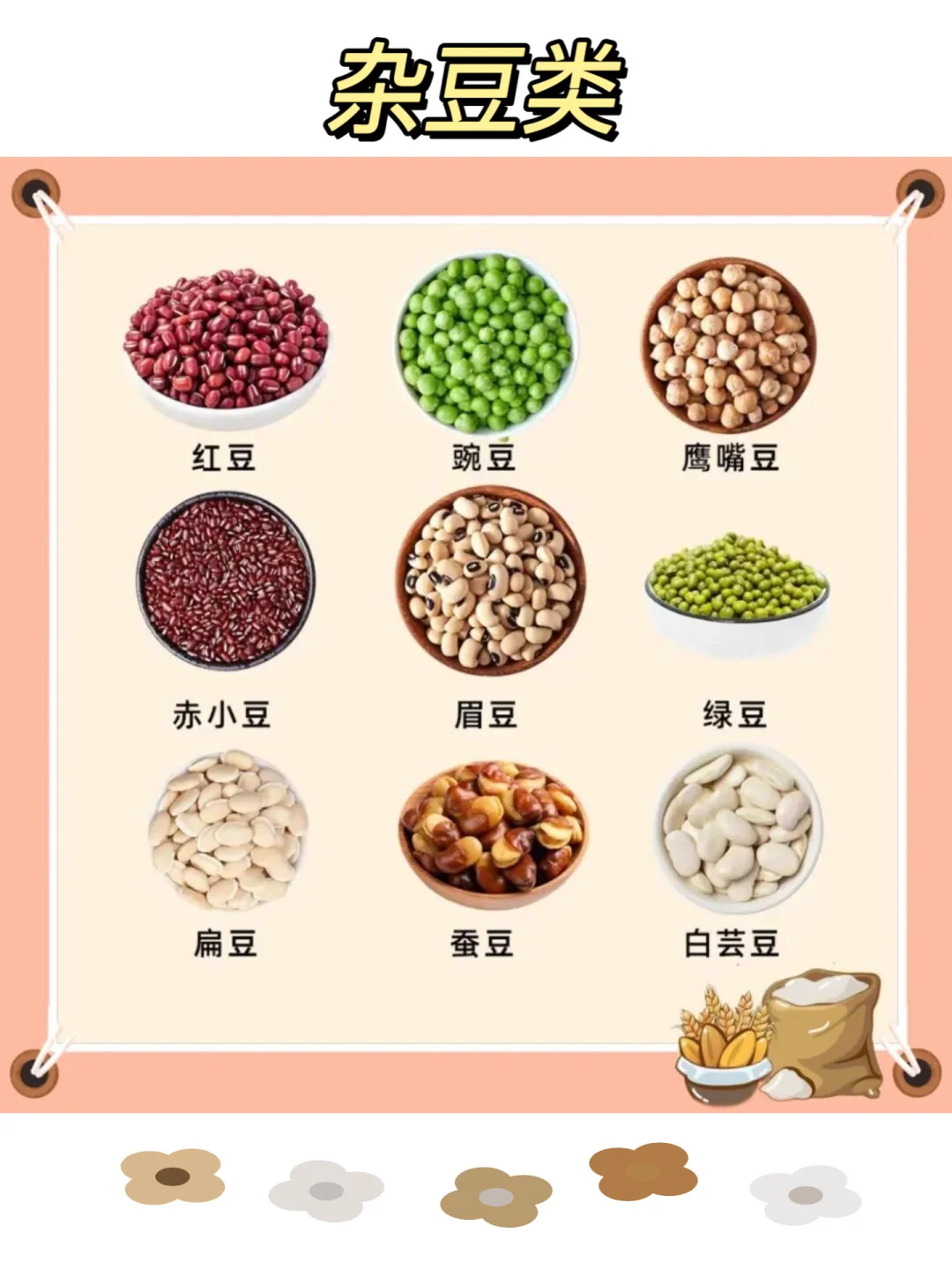 常见的五谷杂粮有哪些?