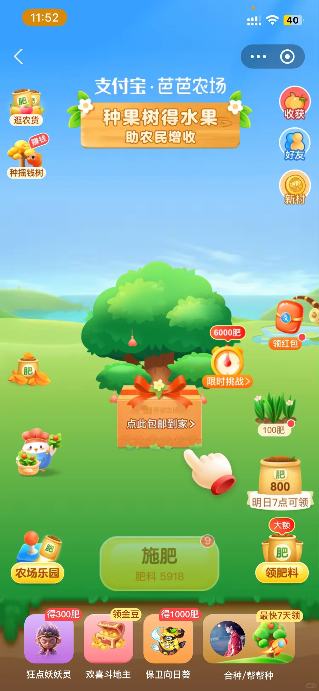 芭芭农场种树5年，我收获了什么？