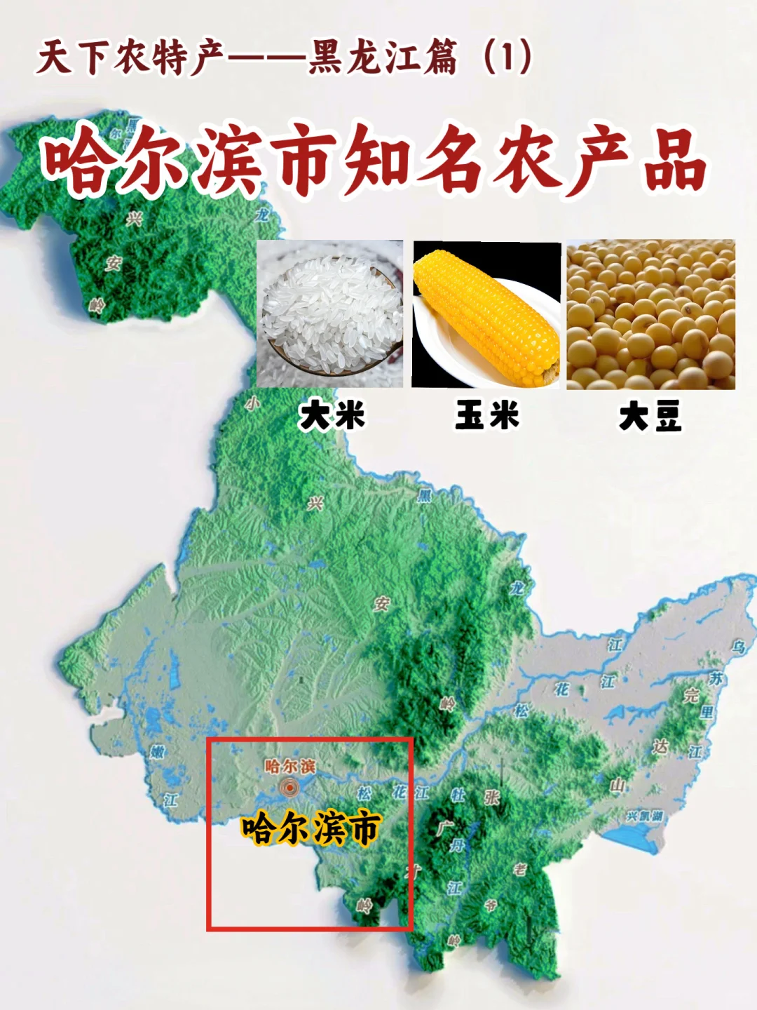 黑龙江特产，哈尔滨市的3大名特优农产品