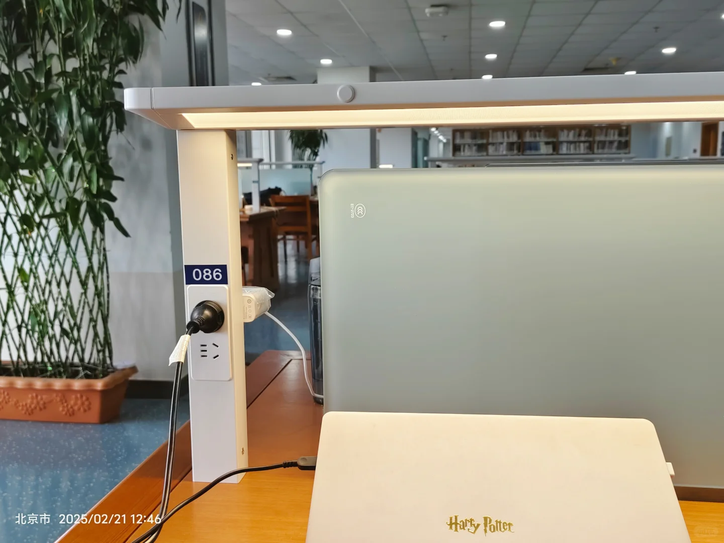 北师大丨图书馆新桌子舒服得想住进来