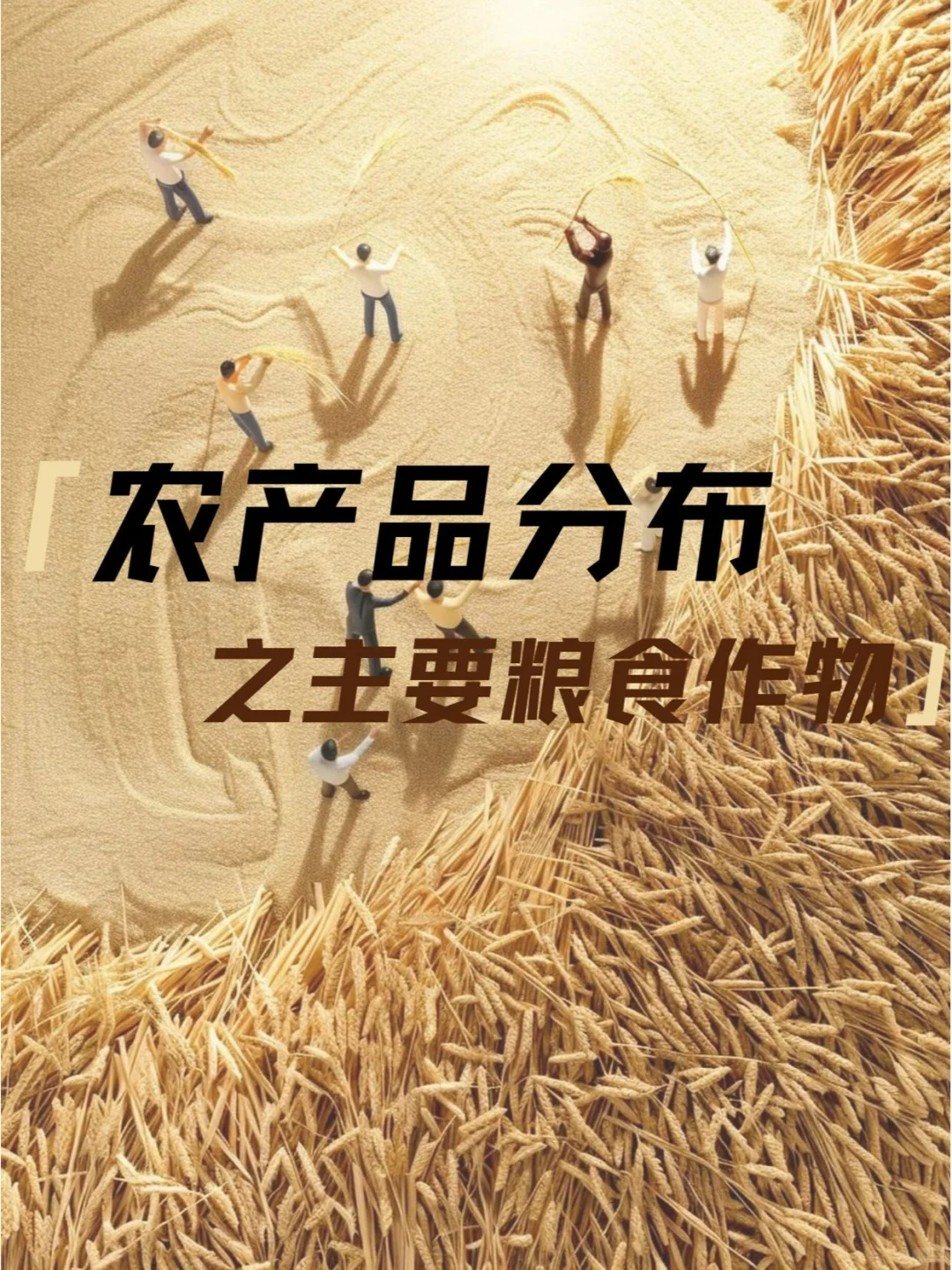 ?中国粮食作物分布，探索粮食的丰饶之地