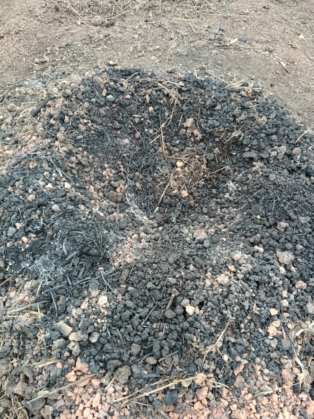 老法子种出的天然味道