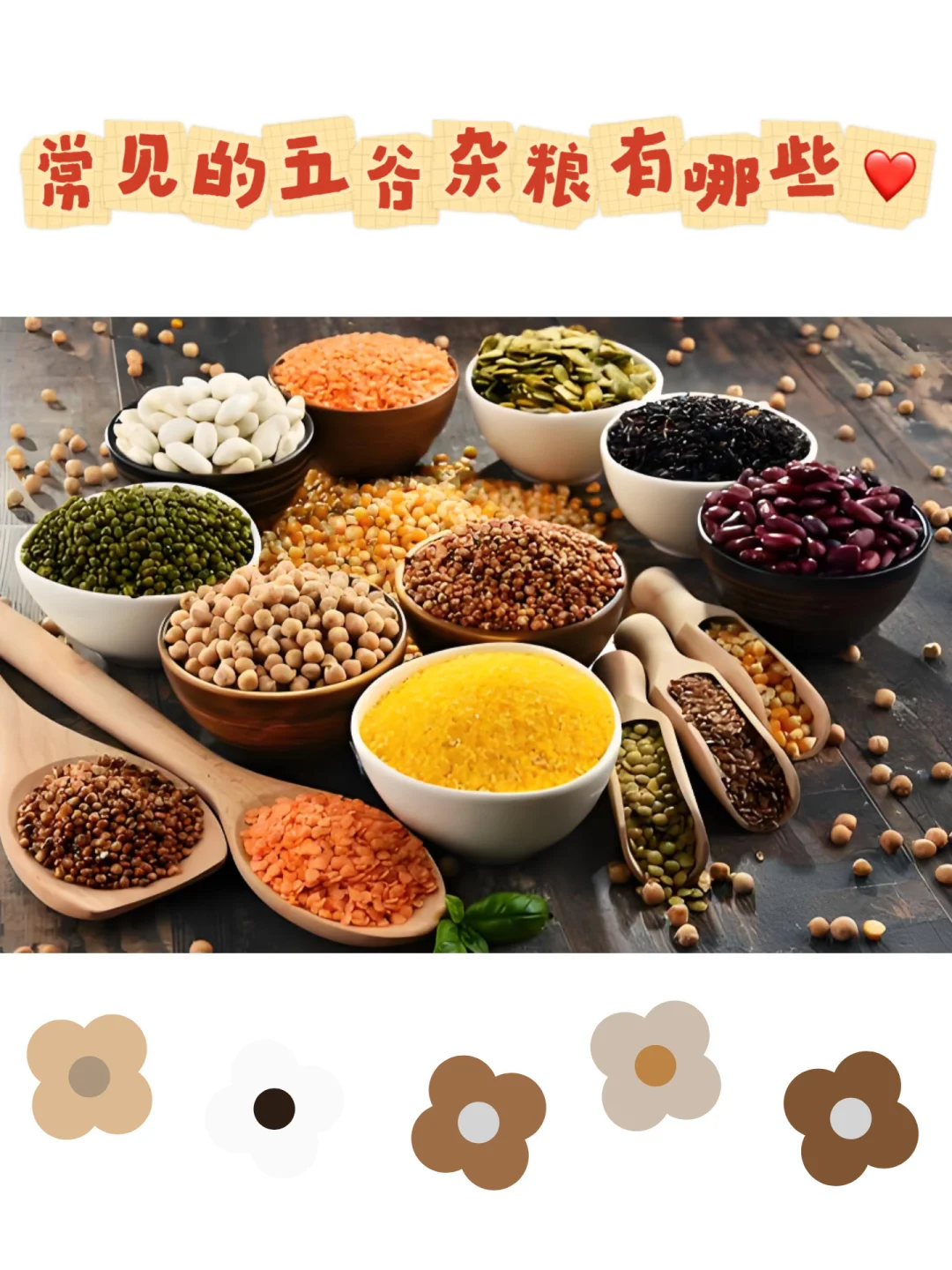 常见的五谷杂粮有哪些?