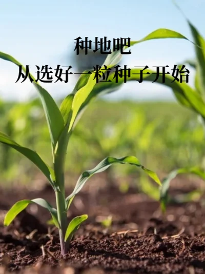 种地吧，从选好一粒种子开始☀️