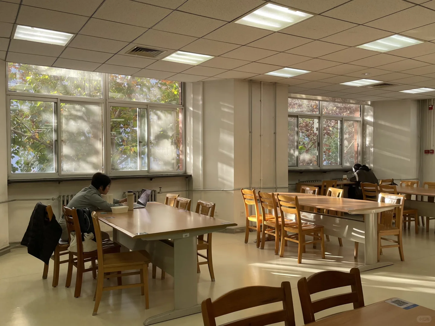 大四那年秋天（二）