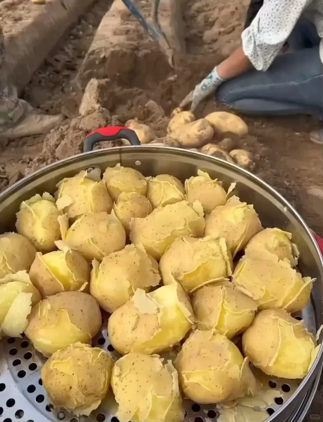 减减期有它陪伴，真的太棒了！！