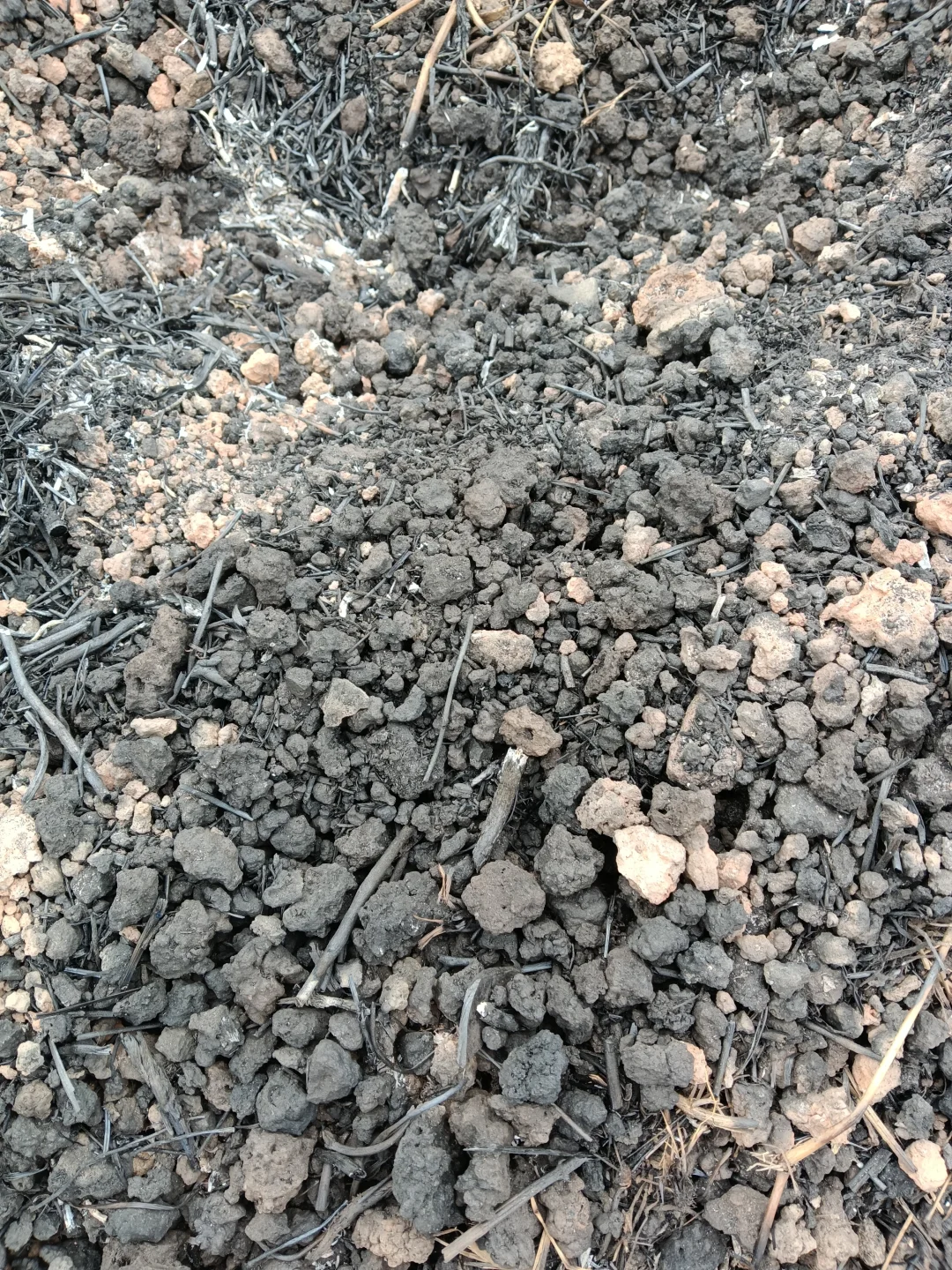 老法子种出的天然味道