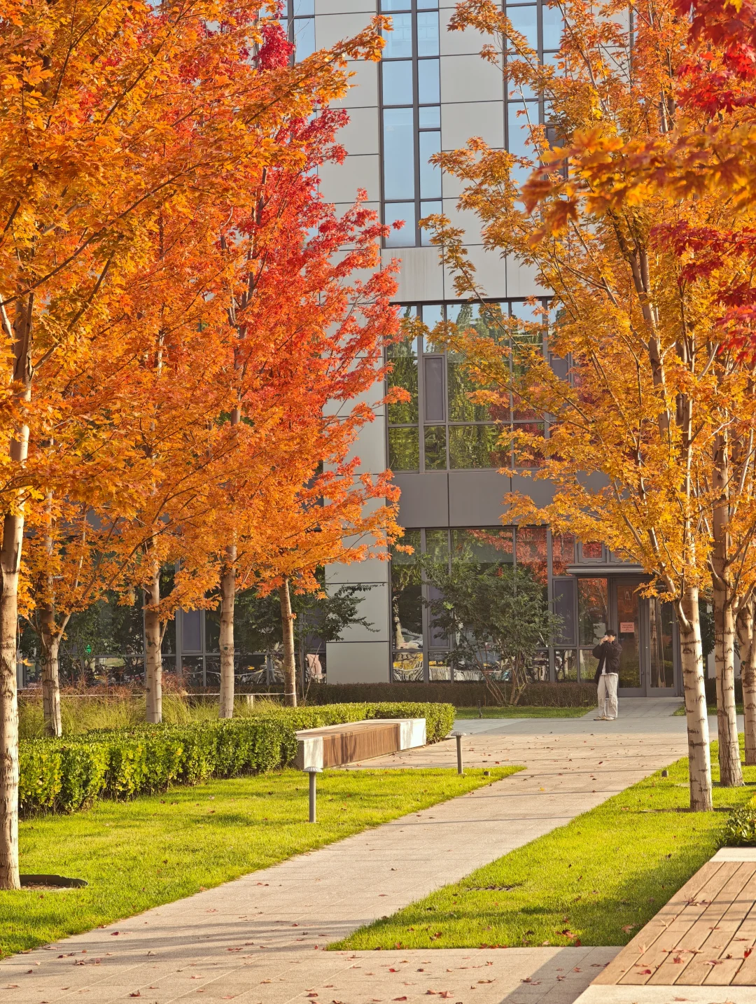 北航豪华图书馆！