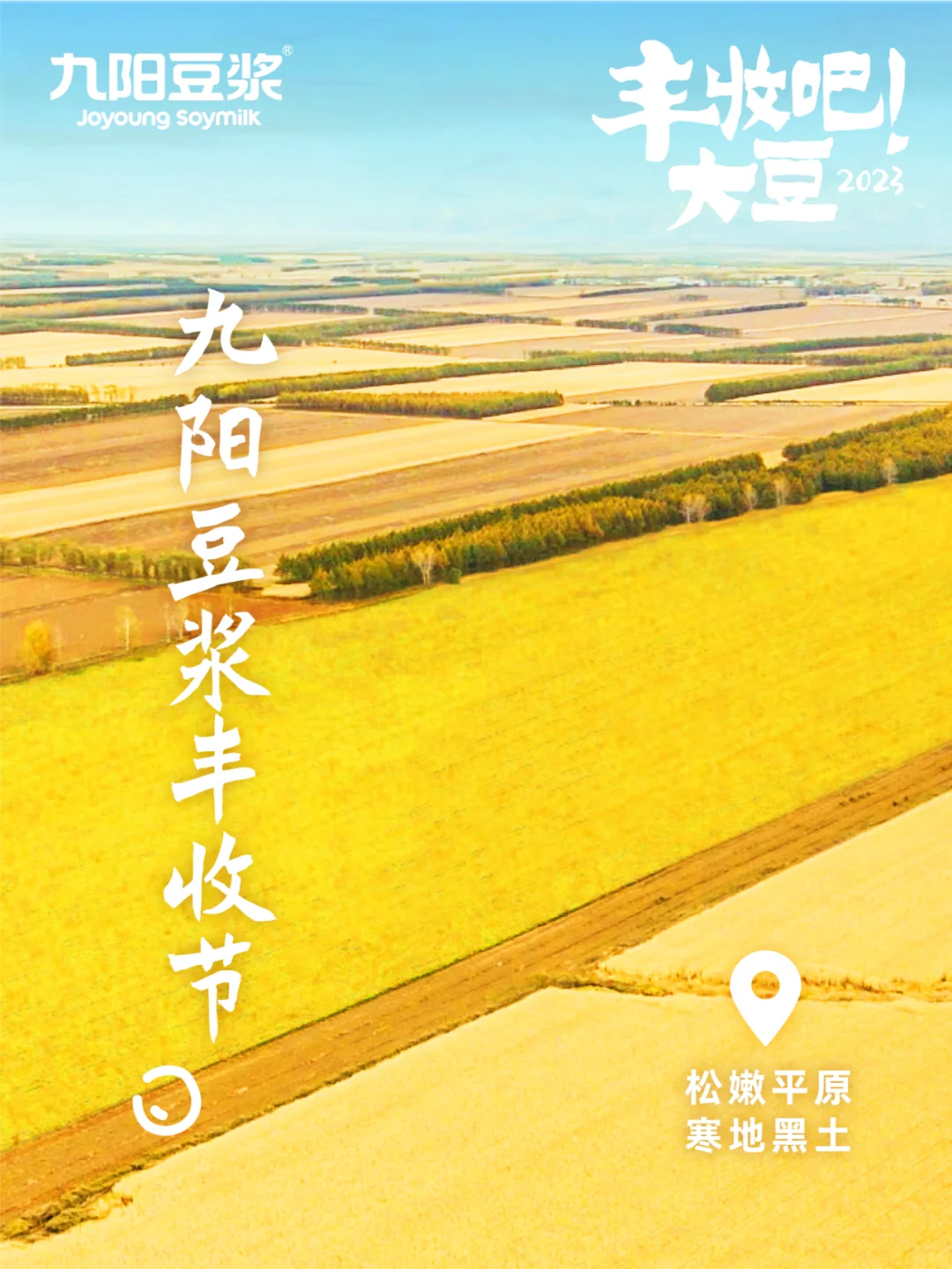 一年一度的大豆丰收季，来了！