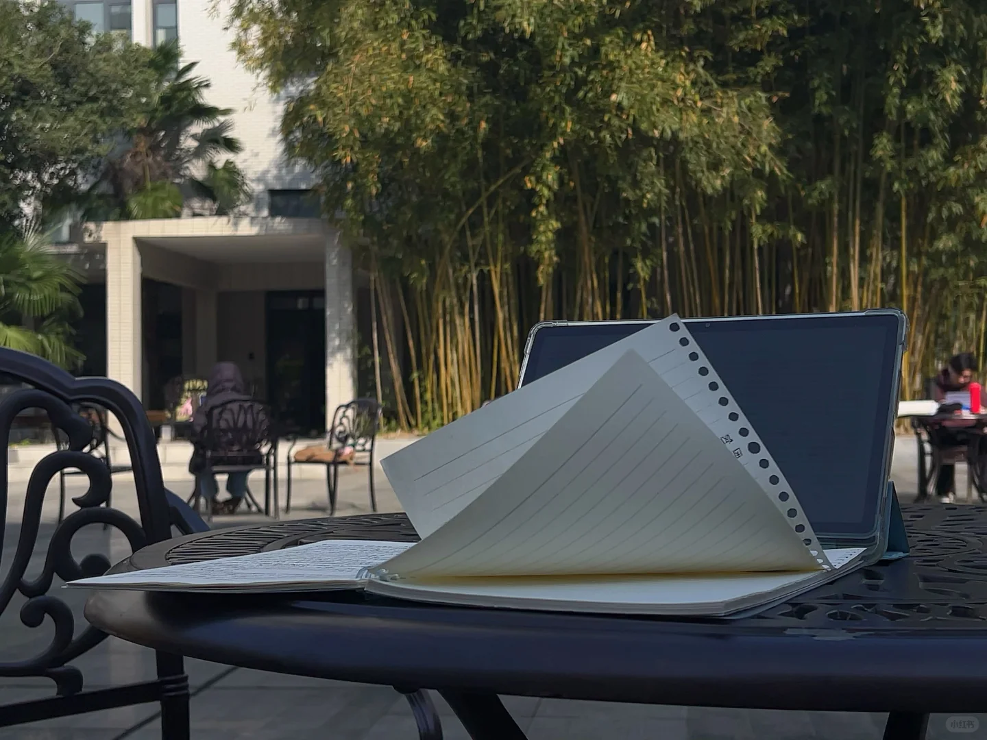 whu｜总图那些很舒服的位置